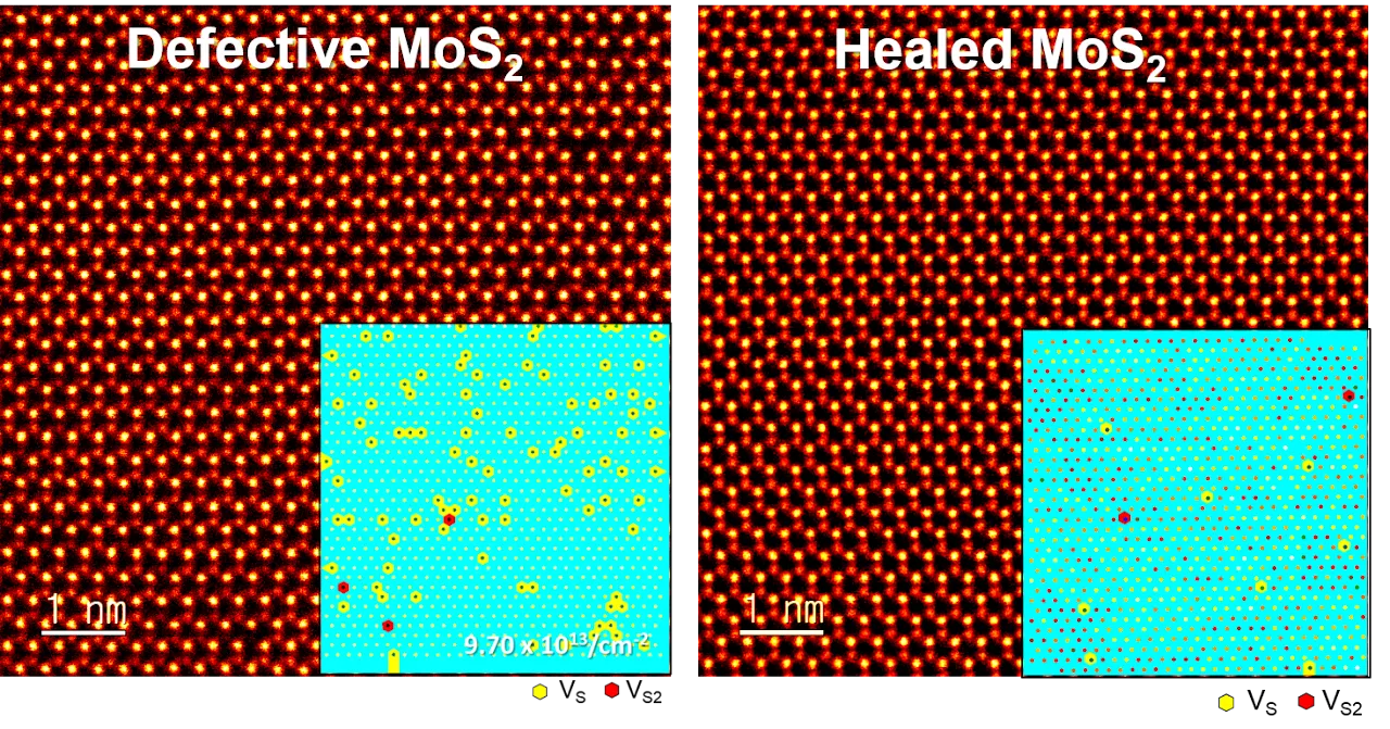 Atom counting analysis for 2D materials