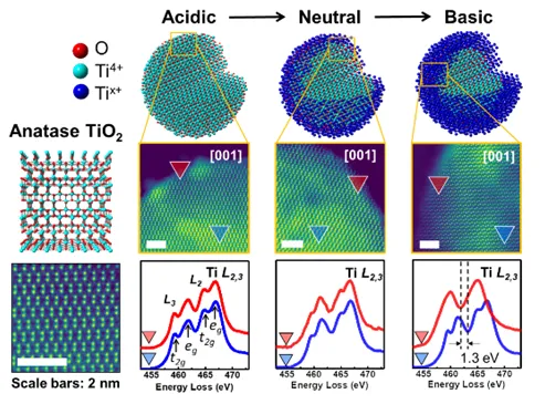 Atomic resolution analysis of nanoparticles by STEM-EELS/EDX