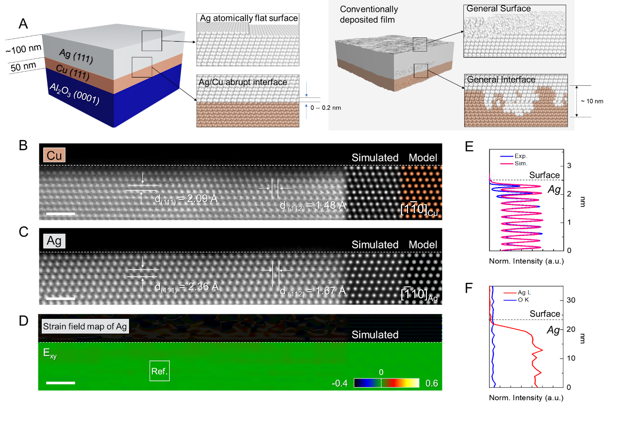 Atomically flat single-crystal silver thin film imaged by STEM